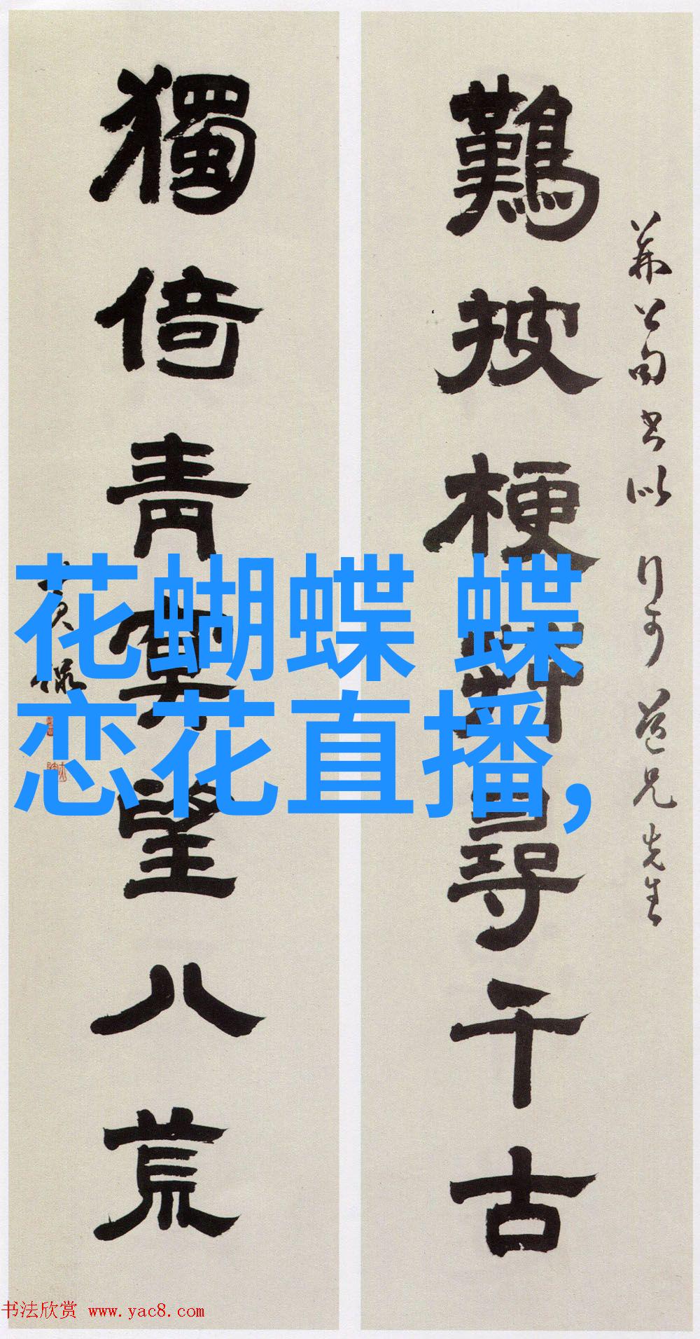 只花30美元就可以拥有chanel包包