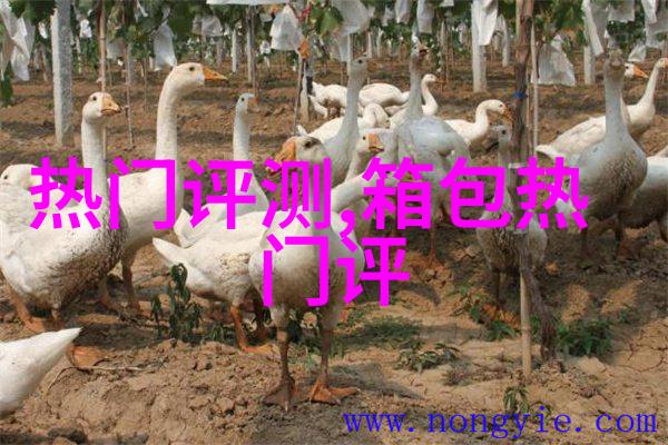 谁知道大S代言的那个手表是什么中国名