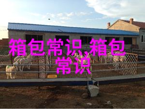 淑女的衣服配黑色的包包好看么