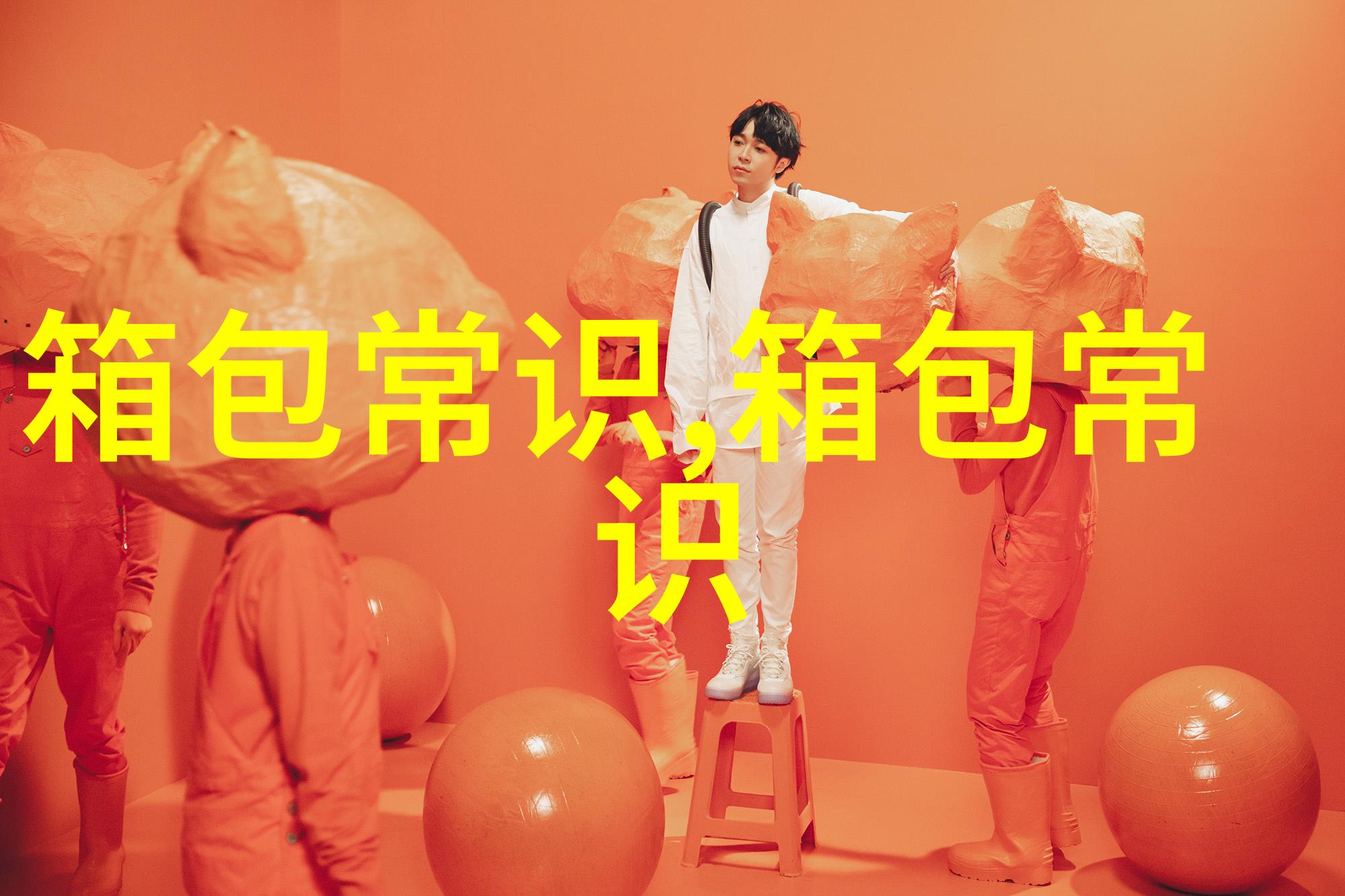 探索DSLANDIOY女包时尚与实用的完美结合