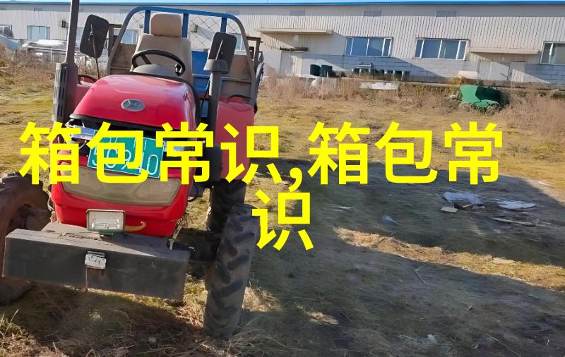 探索DSUO女包时尚与功能性完美结合