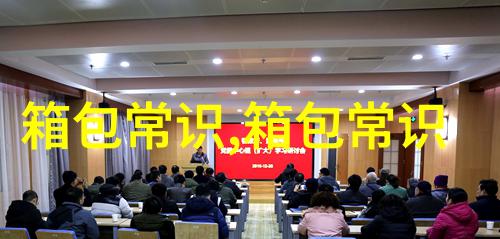 探秘ALD女包时尚与实用并存的完美选择
