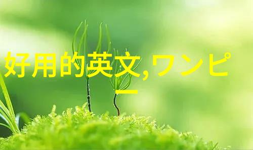 倪妮斜挎万元Miss Dior皮革手袋游法国