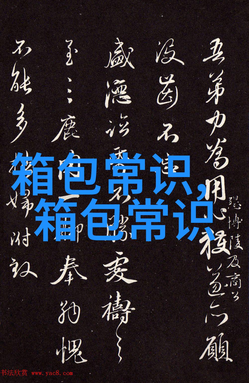 探索Ginaro女包的魅力时尚与实用的完美结合